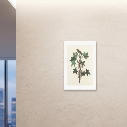 Orlonzo - FINE ART PRINT UNFRAMED 24x3660x90cm ROOM