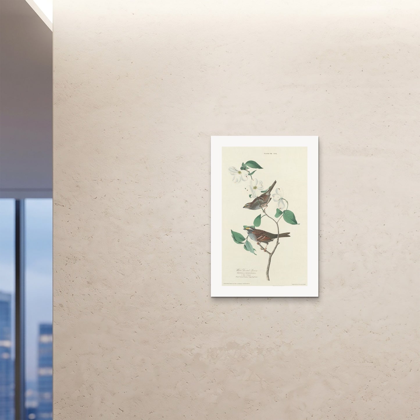 Orlonzo - FINE ART PRINT UNFRAMED 24x3660x90cm ROOM