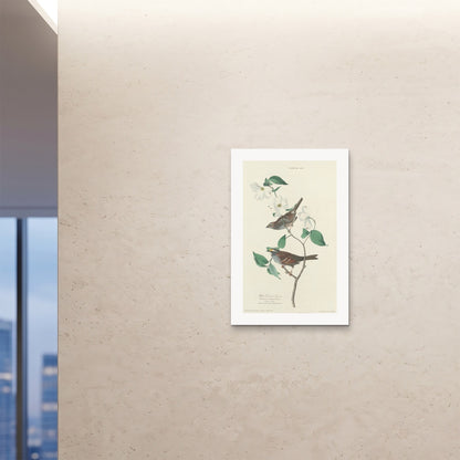 Orlonzo - FINE ART PRINT UNFRAMED 24x3660x90cm ROOM