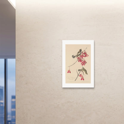 Orlonzo - FINE ART PRINT UNFRAMED 24x3660x90cm ROOM