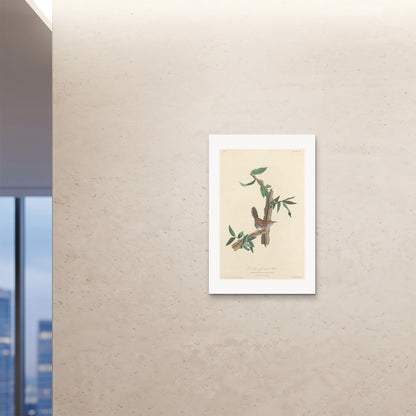 Orlonzo - FINE ART PRINT UNFRAMED 24x3660x90cm ROOM
