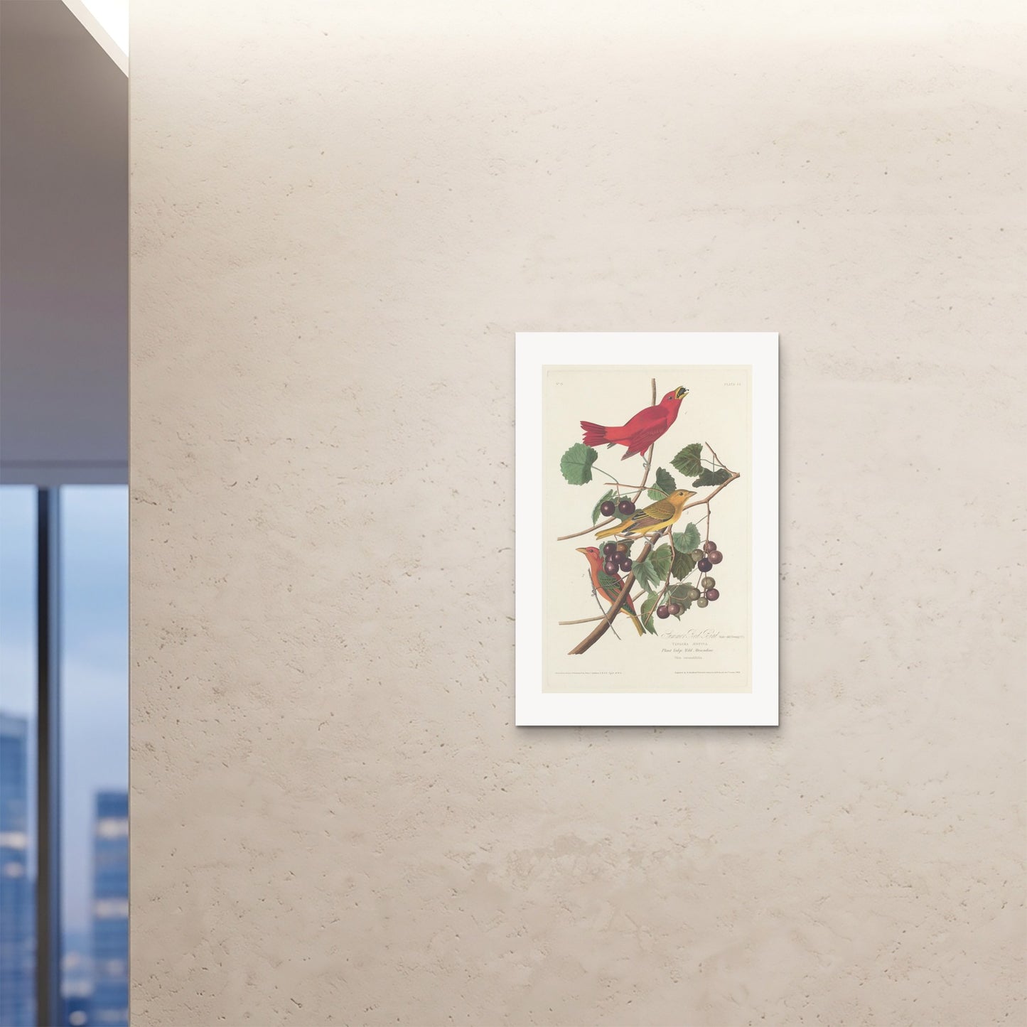 Orlonzo - FINE ART PRINT UNFRAMED 24x3660x90cm ROOM