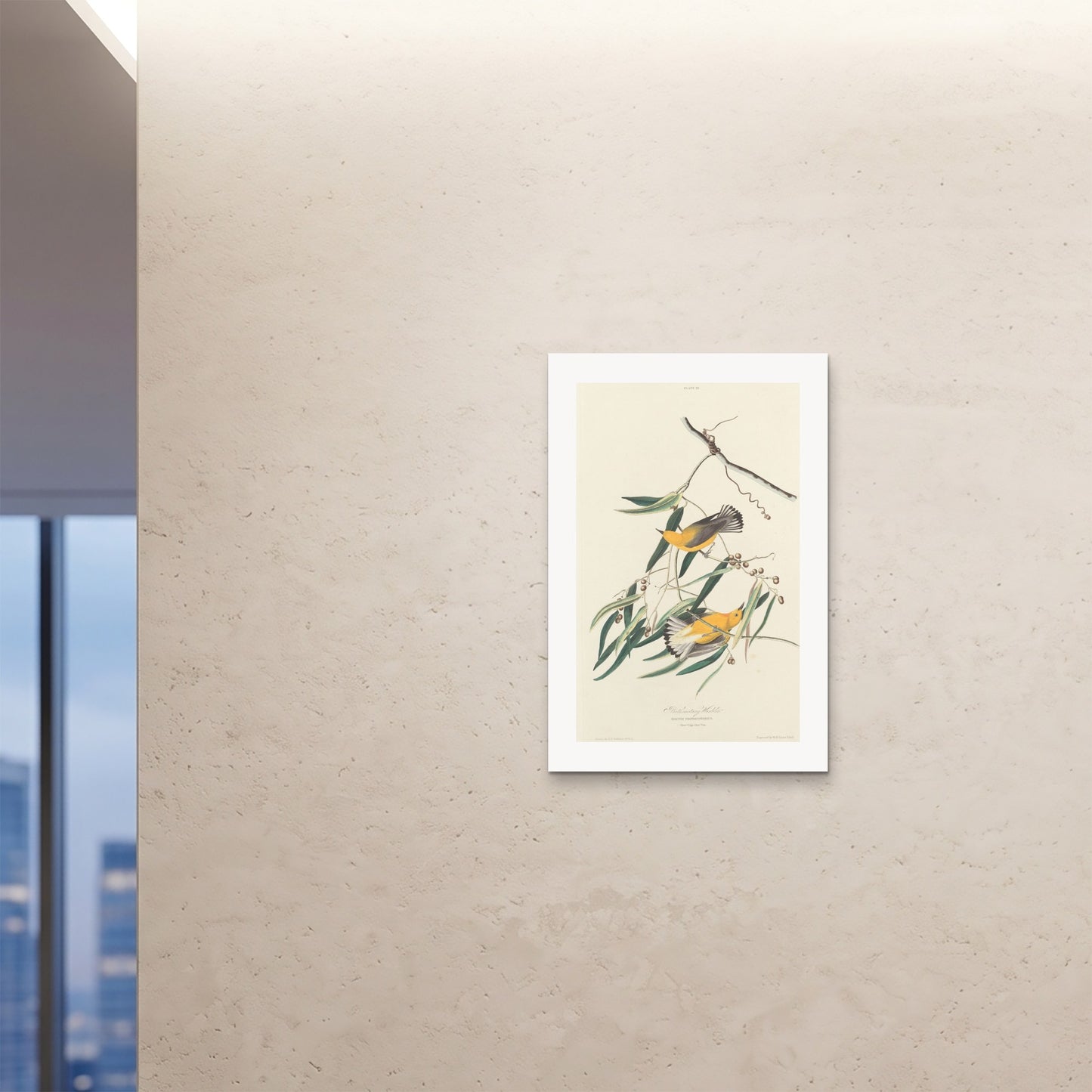 Orlonzo - FINE ART PRINT UNFRAMED 24x3660x90cm ROOM