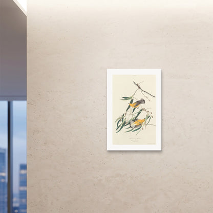 Orlonzo - FINE ART PRINT UNFRAMED 24x3660x90cm ROOM