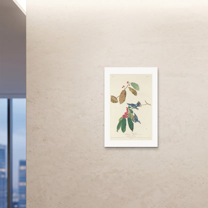 Orlonzo - FINE ART PRINT UNFRAMED 24x3660x90cm ROOM