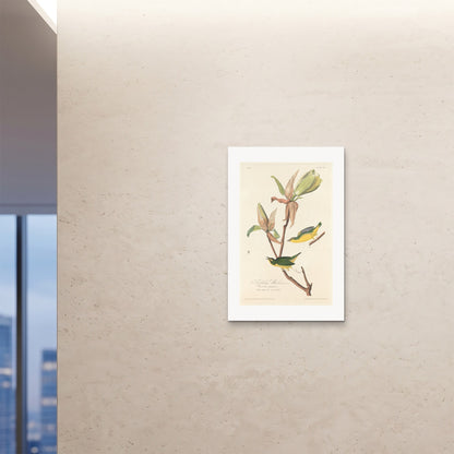 Orlonzo - FINE ART PRINT UNFRAMED 24x3660x90cm ROOM