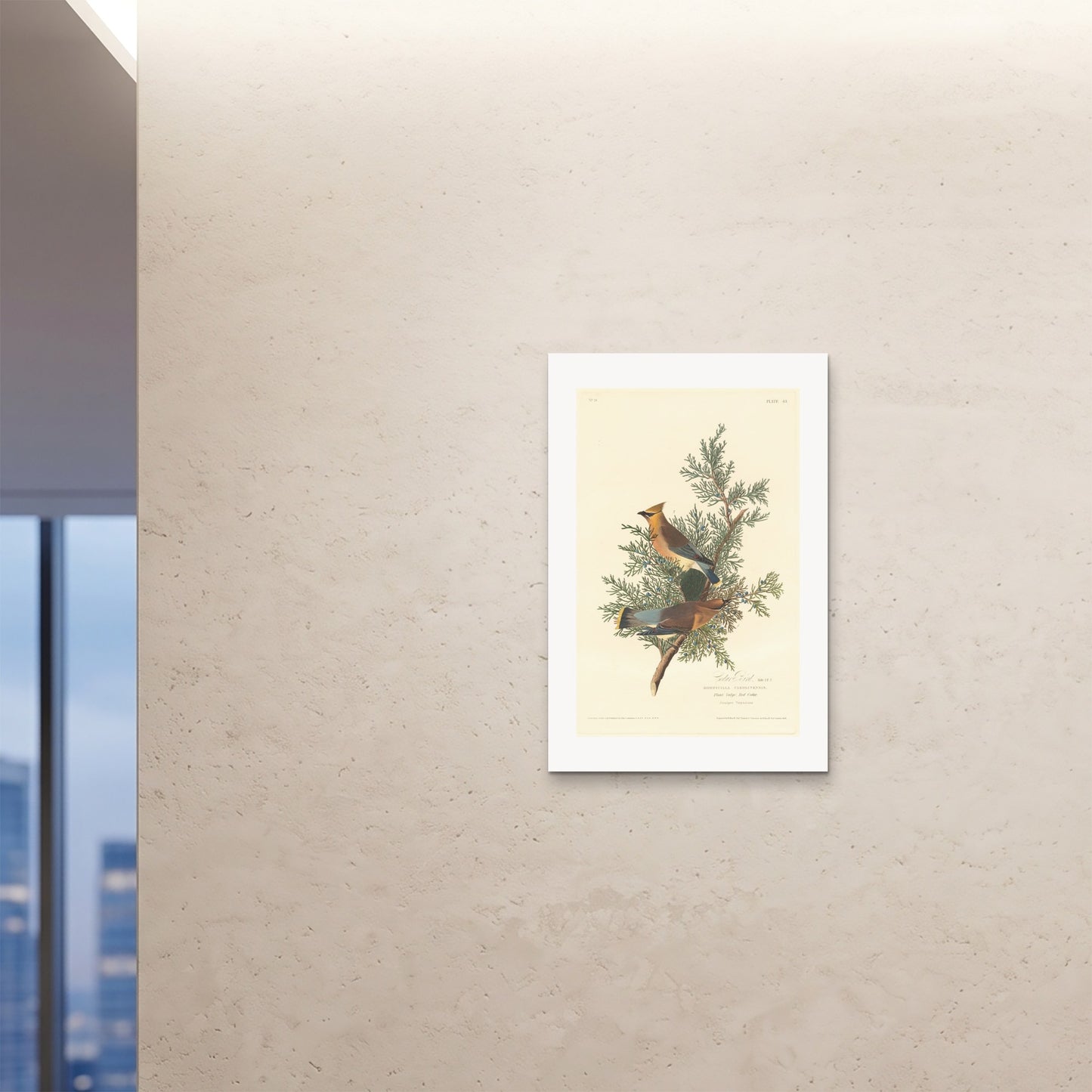 Orlonzo - FINE ART PRINT UNFRAMED 24x3660x90cm ROOM