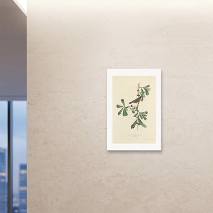 Orlonzo - FINE ART PRINT UNFRAMED 24x3660x90cm ROOM