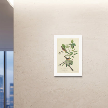 Orlonzo - FINE ART PRINT UNFRAMED 24x3660x90cm ROOM