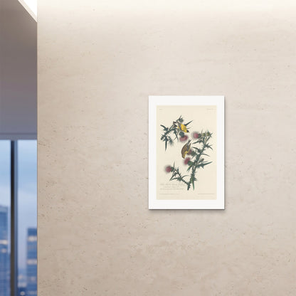 Orlonzo - FINE ART PRINT UNFRAMED 24x3660x90cm ROOM