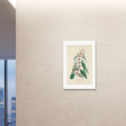 Orlonzo - FINE ART PRINT UNFRAMED 24x3660x90cm ROOM