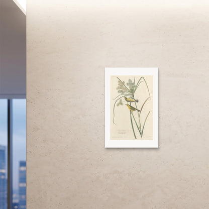 Orlonzo - FINE ART PRINT UNFRAMED 24x3660x90cm ROOM
