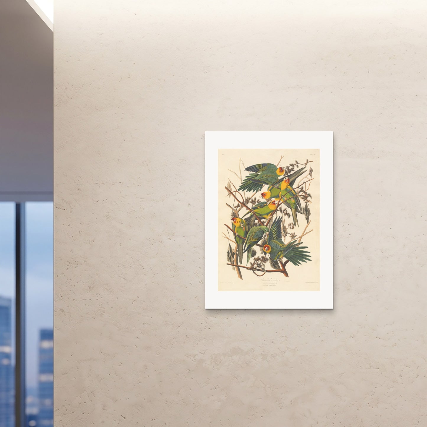 Orlonzo - FINE ART PRINT UNFRAMED 28x4070x100cm ROOM