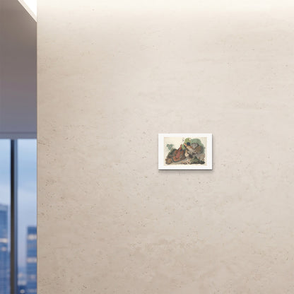 Orlonzo - FINE ART PRINT UNFRAMED 4328cm1711 ROOM