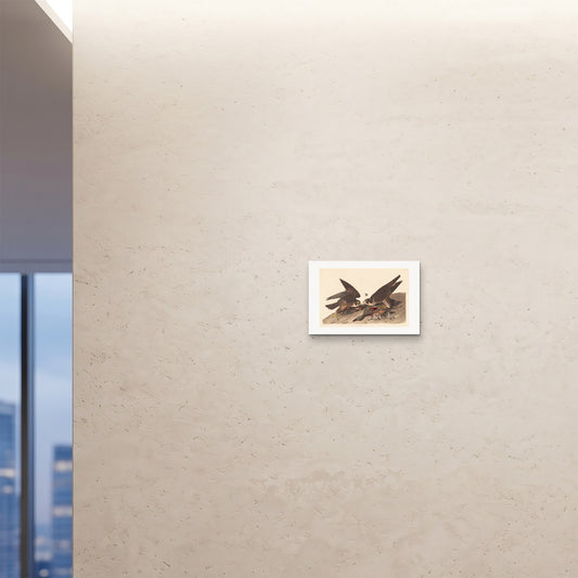 Orlonzo - FINE ART PRINT UNFRAMED 4530cm1812 ROOM
