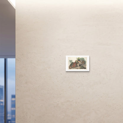 Orlonzo - FINE ART PRINT UNFRAMED 4530cm1812 ROOM