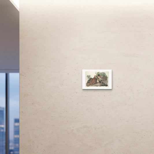 Orlonzo - FINE ART PRINT UNFRAMED 4530cm1812 ROOM