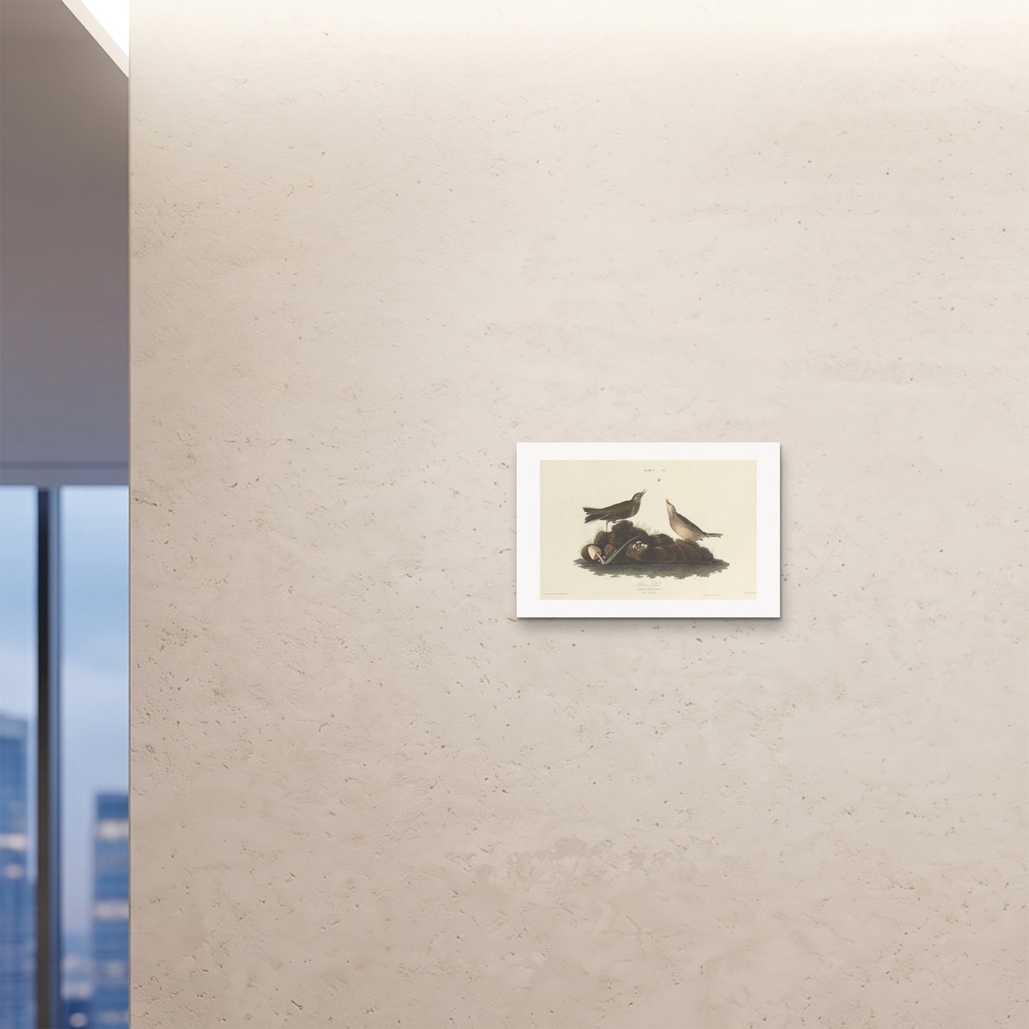 Orlonzo - FINE ART PRINT UNFRAMED 6040cm2416 ROOM
