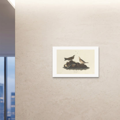 Orlonzo - FINE ART PRINT UNFRAMED 9060cm3624 ROOM