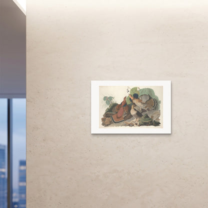 Orlonzo - FINE ART PRINT UNFRAMED 9060cm3624 ROOM
