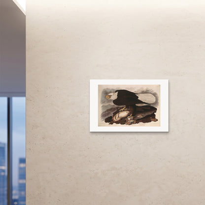 Orlonzo - FINE ART PRINT UNFRAMED 9060cm3624 ROOM