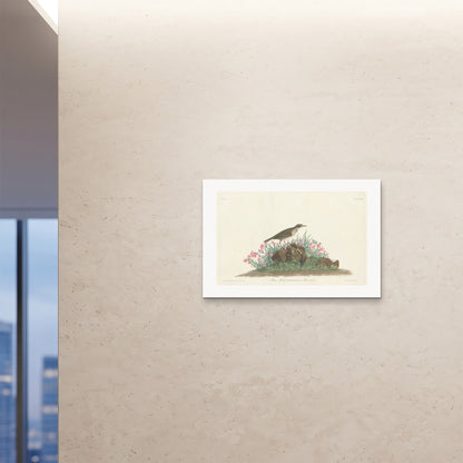 Orlonzo - FINE ART PRINT UNFRAMED 9060cm3624 ROOM