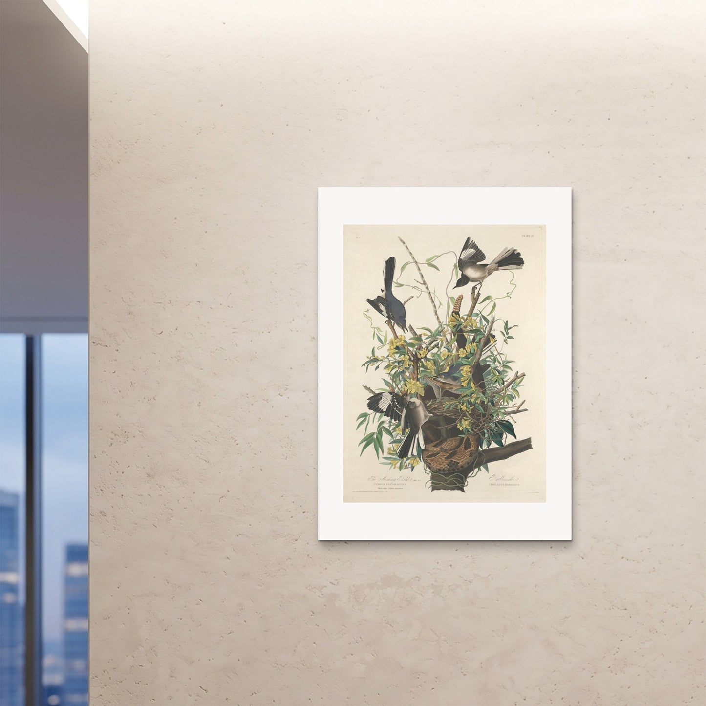 Orlonzo - FINE ART PRINT UNFRAMED A0841x1189cm ROOM