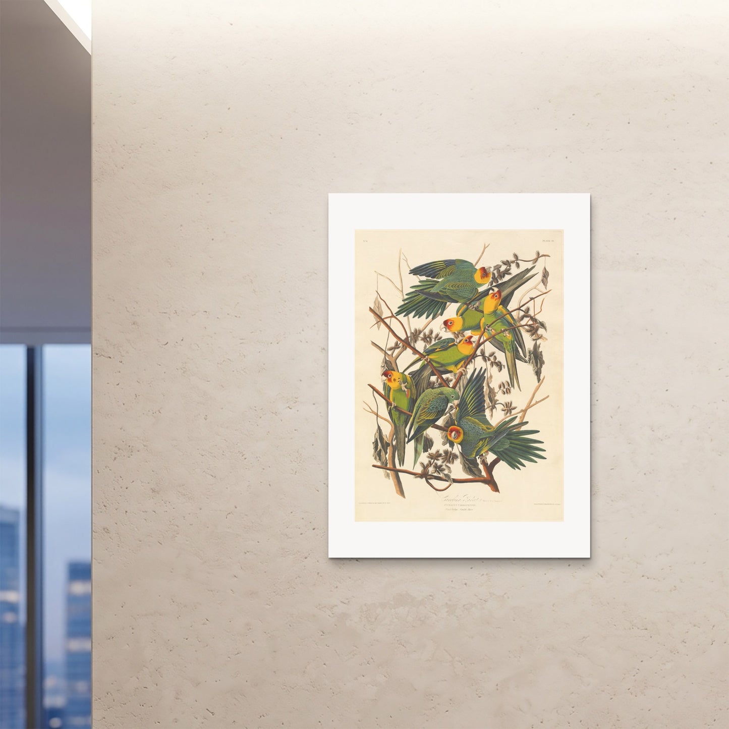 Orlonzo - FINE ART PRINT UNFRAMED A0841x1189cm ROOM