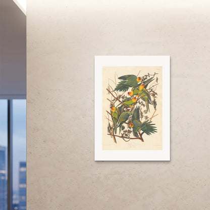 Orlonzo - FINE ART PRINT UNFRAMED A0841x1189cm ROOM