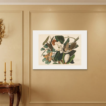 Orlonzo - WRAPPED CANVAS UNFRAMED 10070cm4028 ROOM