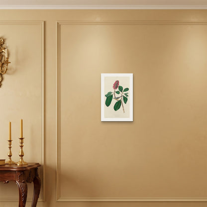Orlonzo - WRAPPED CANVAS UNFRAMED 3045cm1218 ROOM