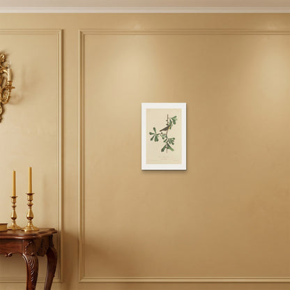 Orlonzo - WRAPPED CANVAS UNFRAMED 3045cm1218 ROOM
