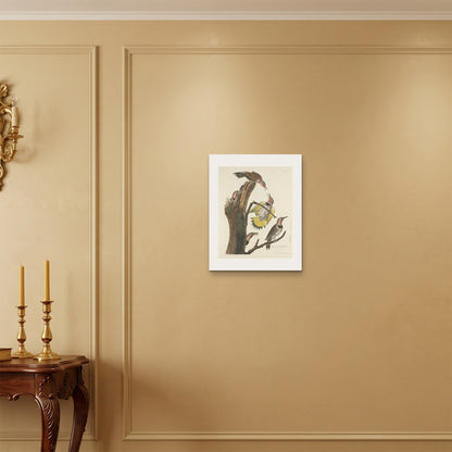 Orlonzo - WRAPPED CANVAS UNFRAMED 4050cm1620 ROOM