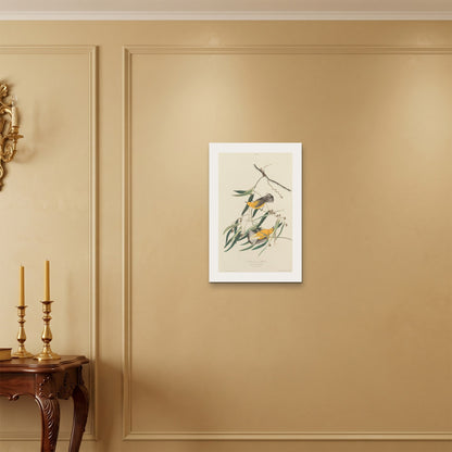 Orlonzo - WRAPPED CANVAS UNFRAMED 4060cm1624 ROOM