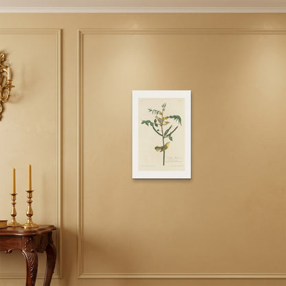 Orlonzo - WRAPPED CANVAS UNFRAMED 4060cm1624 ROOM