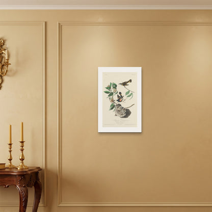 Orlonzo - WRAPPED CANVAS UNFRAMED 4060cm1624 ROOM