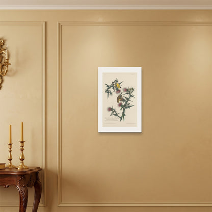 Orlonzo - WRAPPED CANVAS UNFRAMED 4060cm1624 ROOM