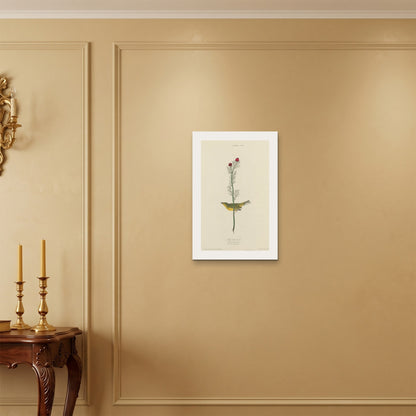 Orlonzo - WRAPPED CANVAS UNFRAMED 4060cm1624 ROOM