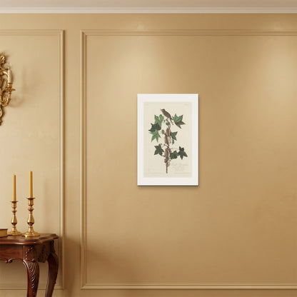Orlonzo - WRAPPED CANVAS UNFRAMED 4060cm1624 ROOM