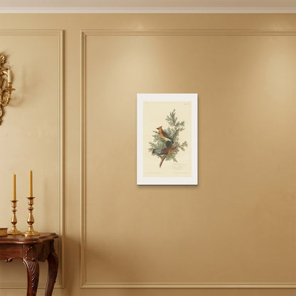 Orlonzo - WRAPPED CANVAS UNFRAMED 4060cm1624 ROOM