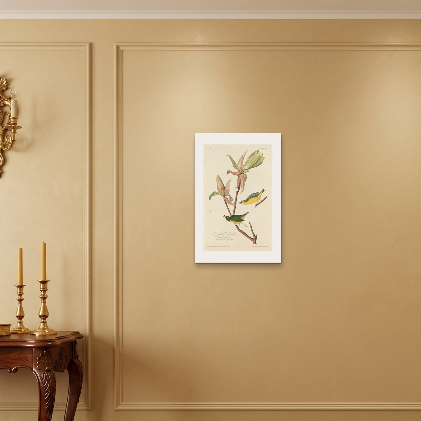 Orlonzo - WRAPPED CANVAS UNFRAMED 4060cm1624 ROOM