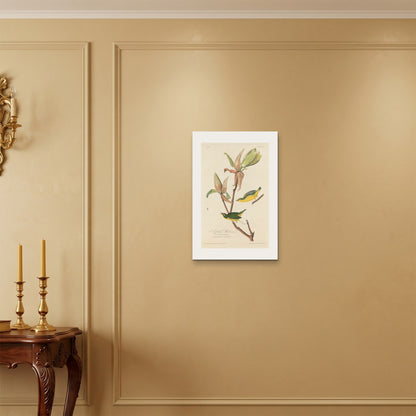Orlonzo - WRAPPED CANVAS UNFRAMED 4060cm1624 ROOM