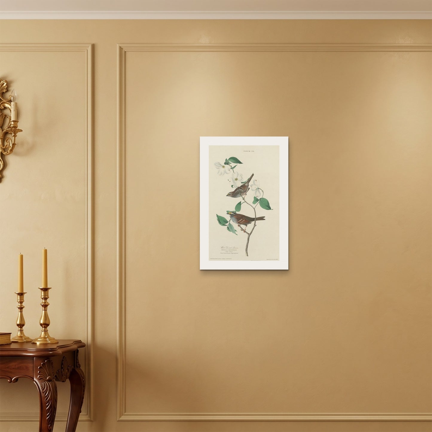 Orlonzo - WRAPPED CANVAS UNFRAMED 4060cm1624 ROOM