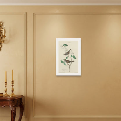 Orlonzo - WRAPPED CANVAS UNFRAMED 4060cm1624 ROOM