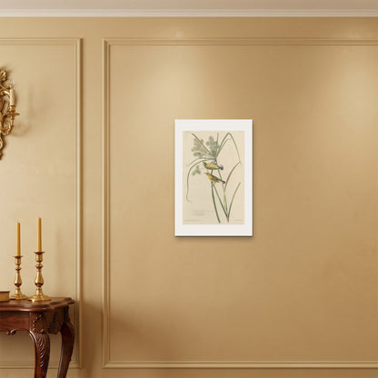 Orlonzo - WRAPPED CANVAS UNFRAMED 4060cm1624 ROOM