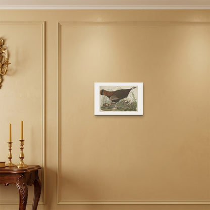 Orlonzo - WRAPPED CANVAS UNFRAMED 4530cm1812 ROOM