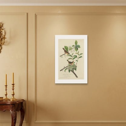 Orlonzo - WRAPPED CANVAS UNFRAMED 5075cm2030 ROOM