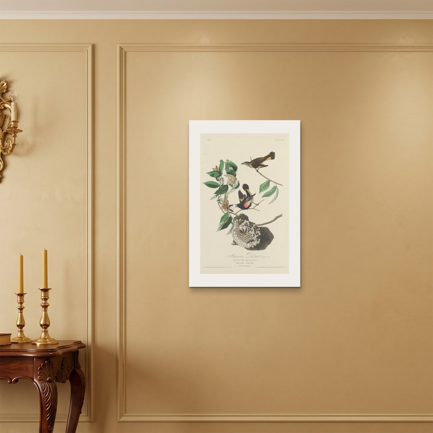 Orlonzo - WRAPPED CANVAS UNFRAMED 5075cm2030 ROOM
