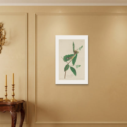 Orlonzo - WRAPPED CANVAS UNFRAMED 5075cm2030 ROOM