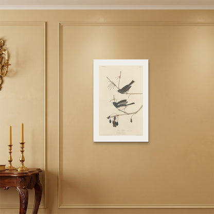 Orlonzo - WRAPPED CANVAS UNFRAMED 5075cm2030 ROOM